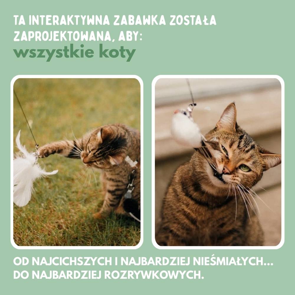 Interaktywna zabawka dla kotów z piórkami, zawieszona i odbijająca się