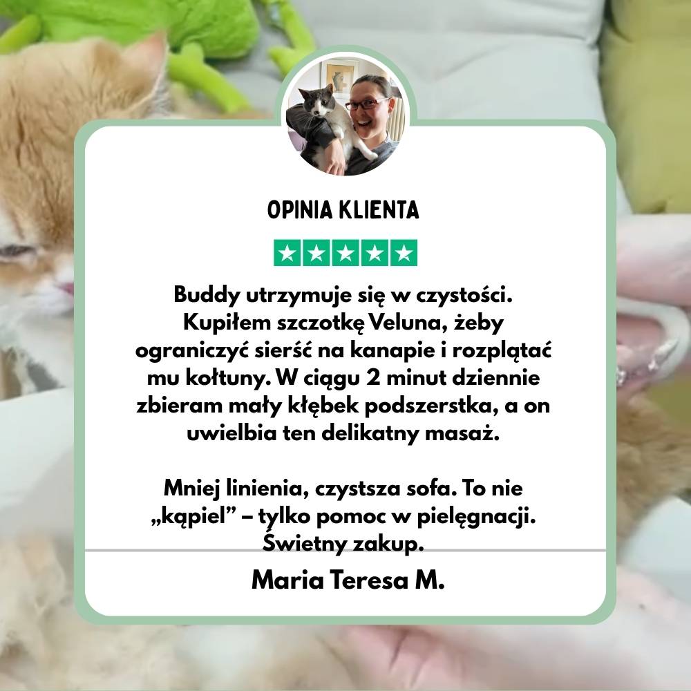 Wielofunkcyjna szczotka parowa 4 w 1 dla psów