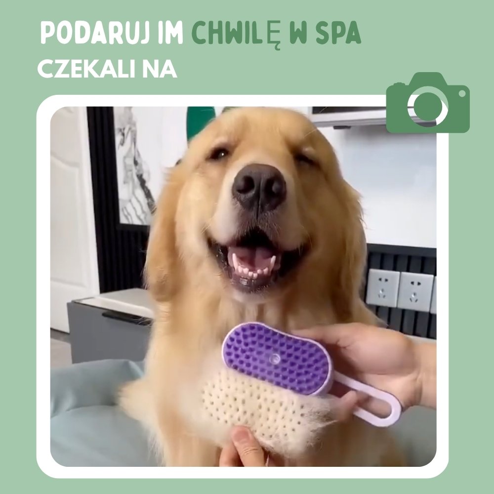 Wielofunkcyjna szczotka parowa 4 w 1 dla psów
