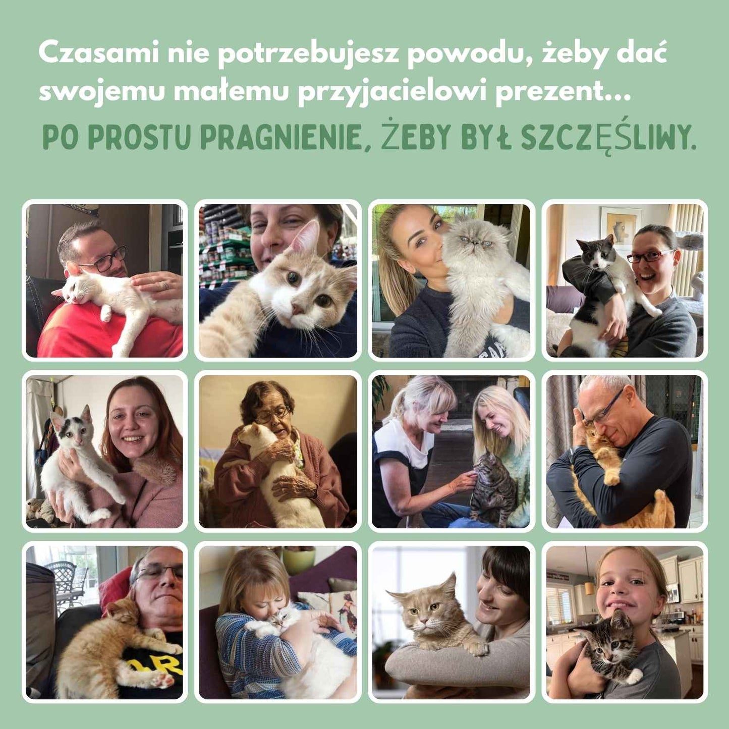 Inteligentna piłka dla kotów, w 100% autonomiczna, zaprojektowana tak, aby naśladować prawdziwą zdobycz