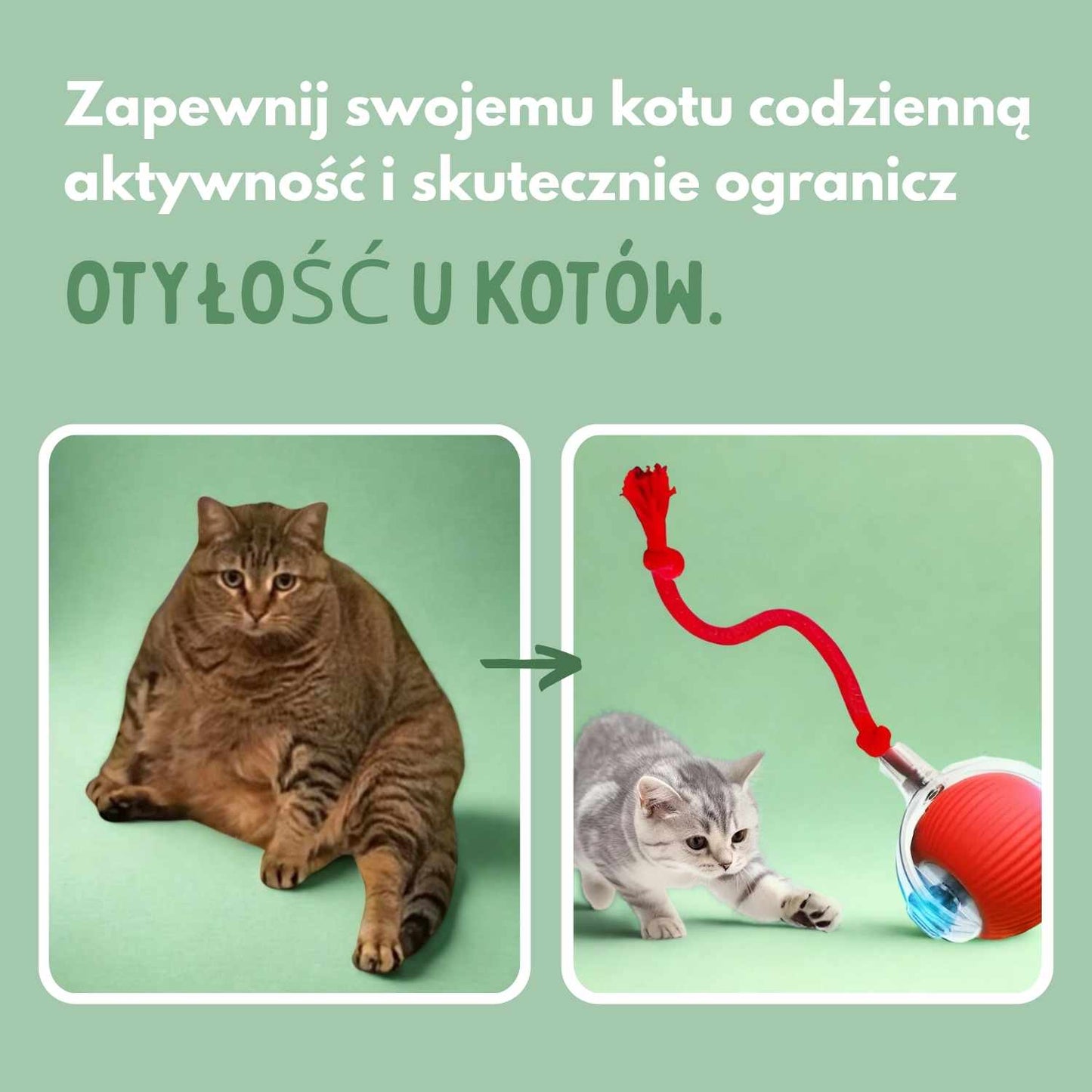 Inteligentna piłka dla kotów, w 100% autonomiczna, zaprojektowana tak, aby naśladować prawdziwą zdobycz