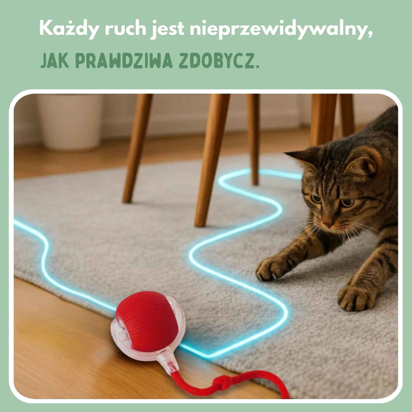 Inteligentna piłka dla kotów, w 100% autonomiczna, zaprojektowana tak, aby naśladować prawdziwą zdobycz