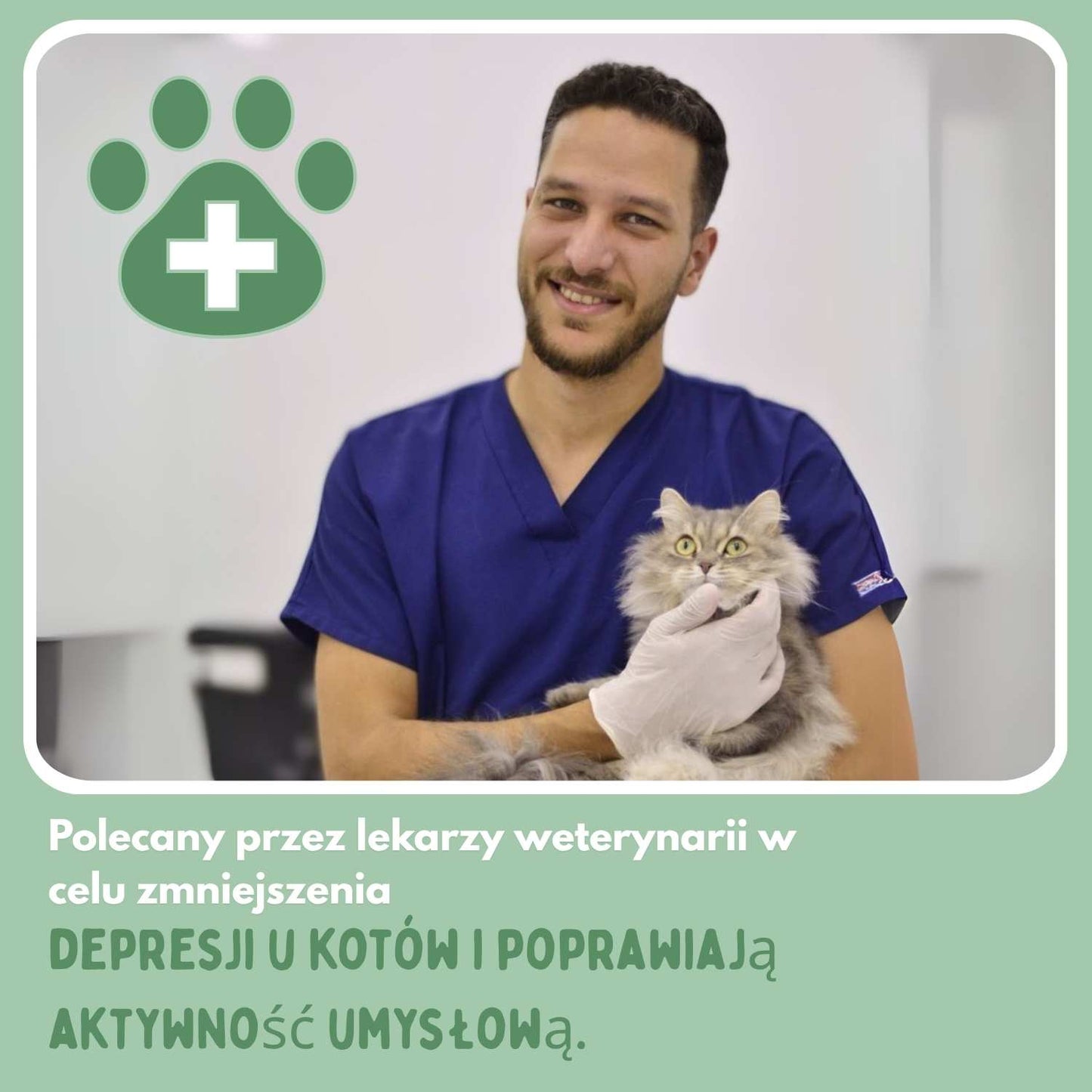 Inteligentna piłka dla kotów, w 100% autonomiczna, zaprojektowana tak, aby naśladować prawdziwą zdobycz