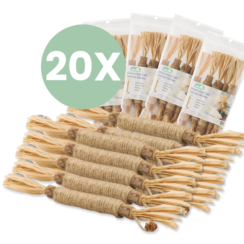 Kup 10 otrzymaj 10 gratis