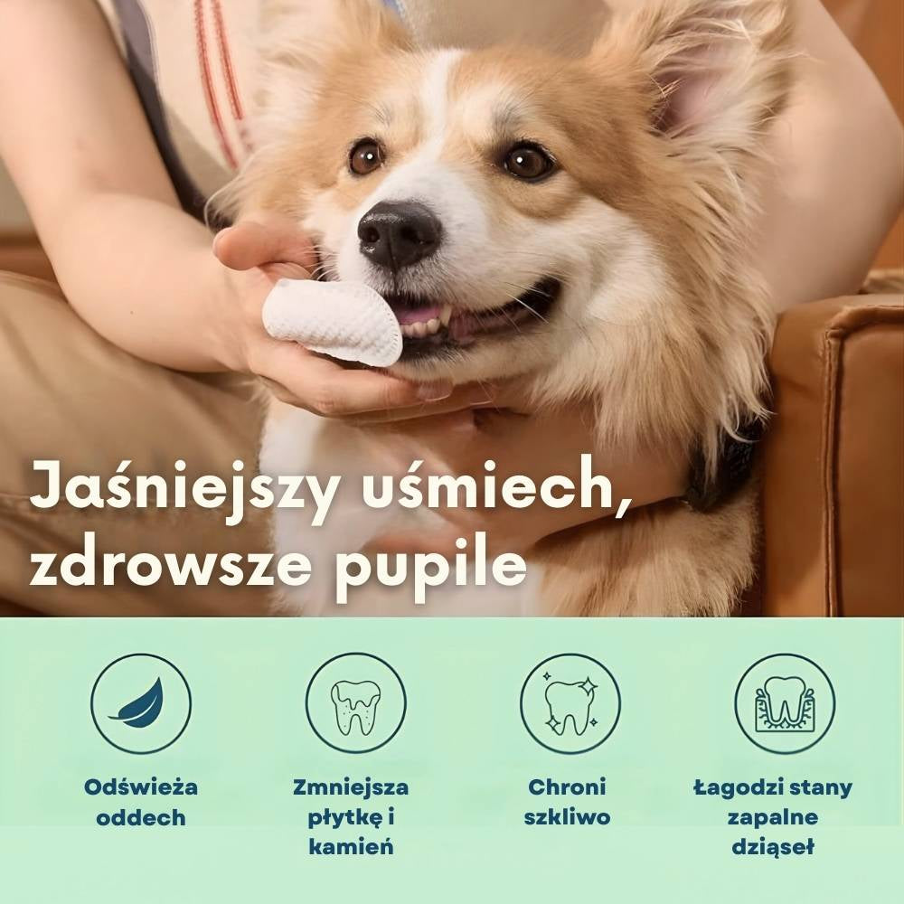 DentaFresh – Chusteczki do Czyszczenia i Ochrony Zębów dla Psów