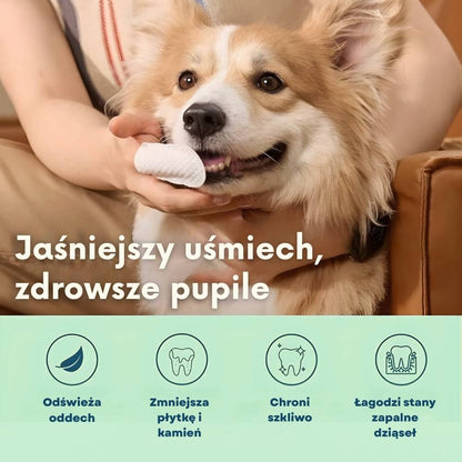 DentaFresh – Chusteczki do Czyszczenia i Ochrony Zębów dla Psów
