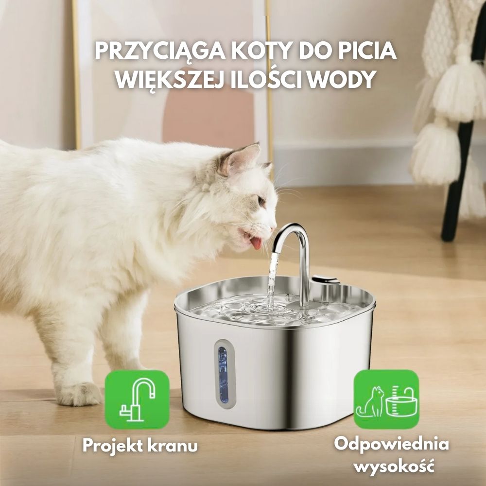 Fontanna wodna dla kotów