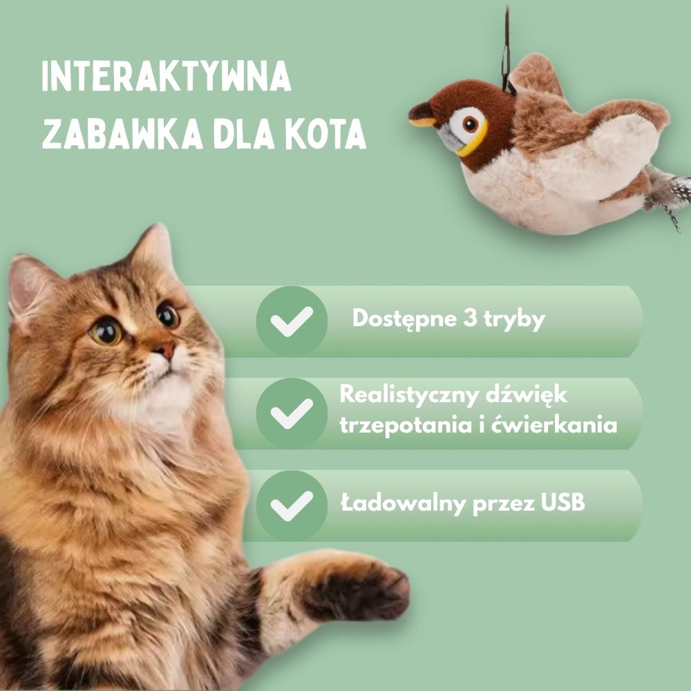 Interaktywna zabawka dla kotów