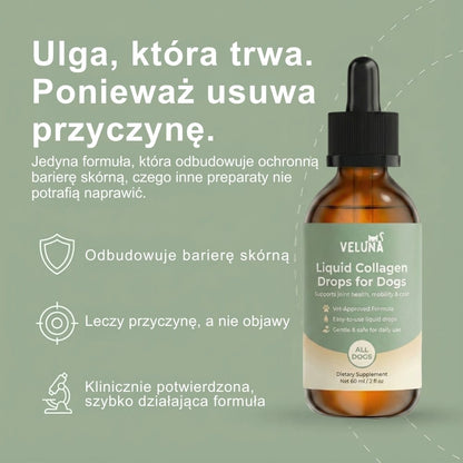Veluna Premium Płynny Kolagen dla Psów