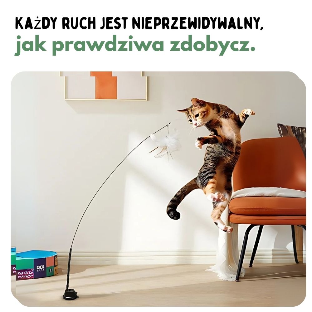 Interaktywna zabawka dla kotów z piórkami, zawieszona i odbijająca się