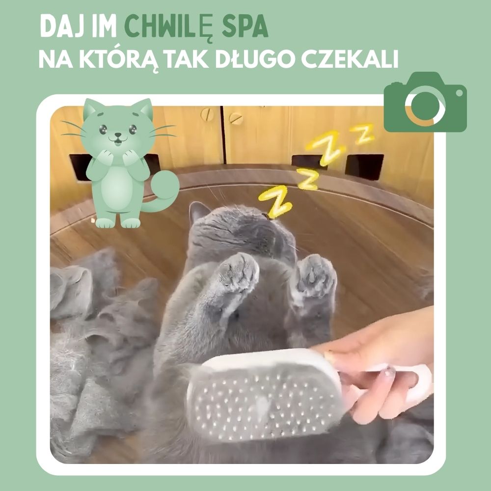 Wielofunkcyjna szczotka parowa 4-w-1 dla kotów