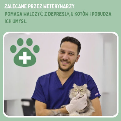 Interaktywna zabawka dla kotów
