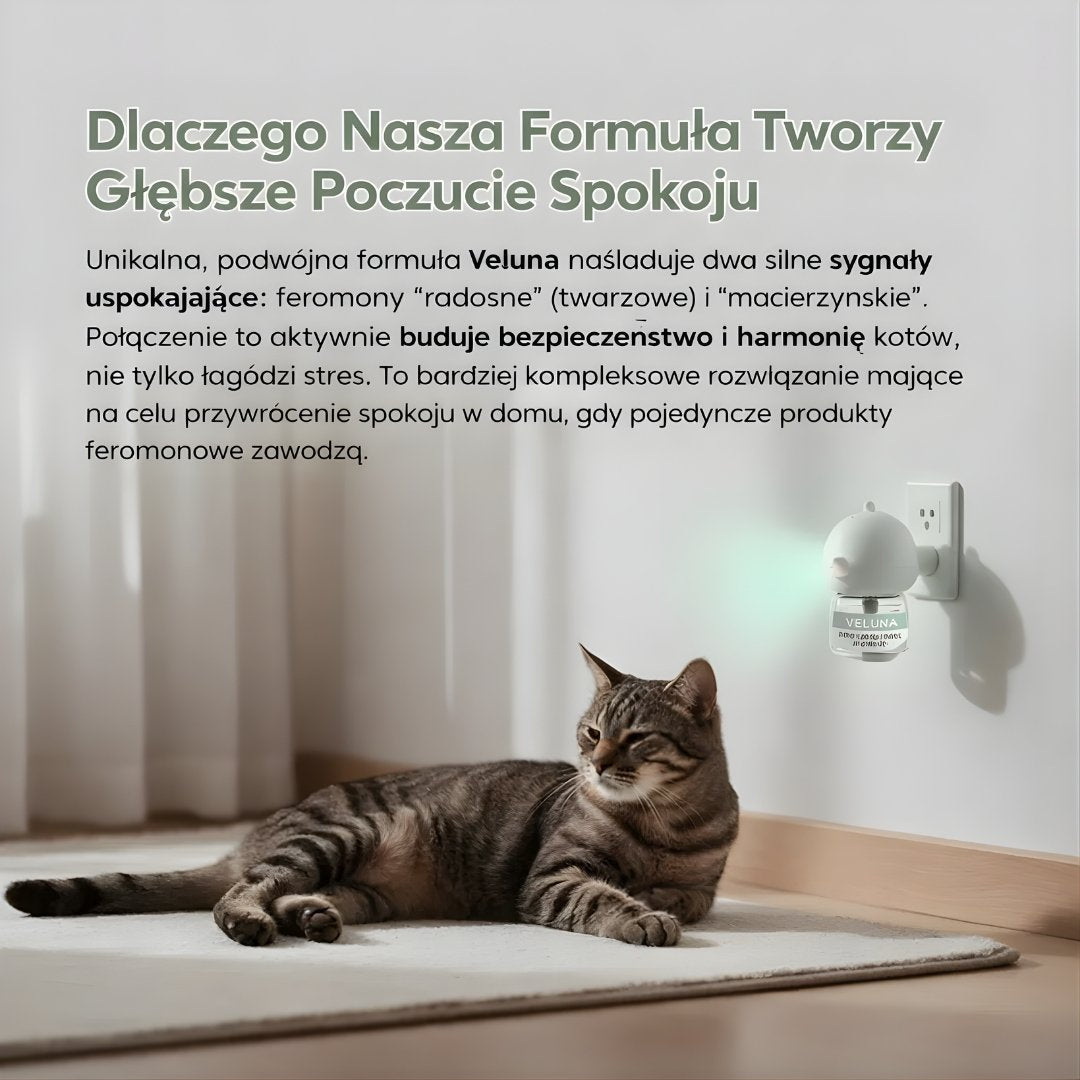 Veluna Dyfuzor Feromonów dla Kotów