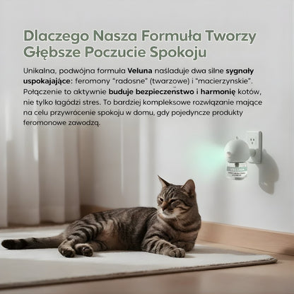 Veluna Dyfuzor Feromonów dla Kotów