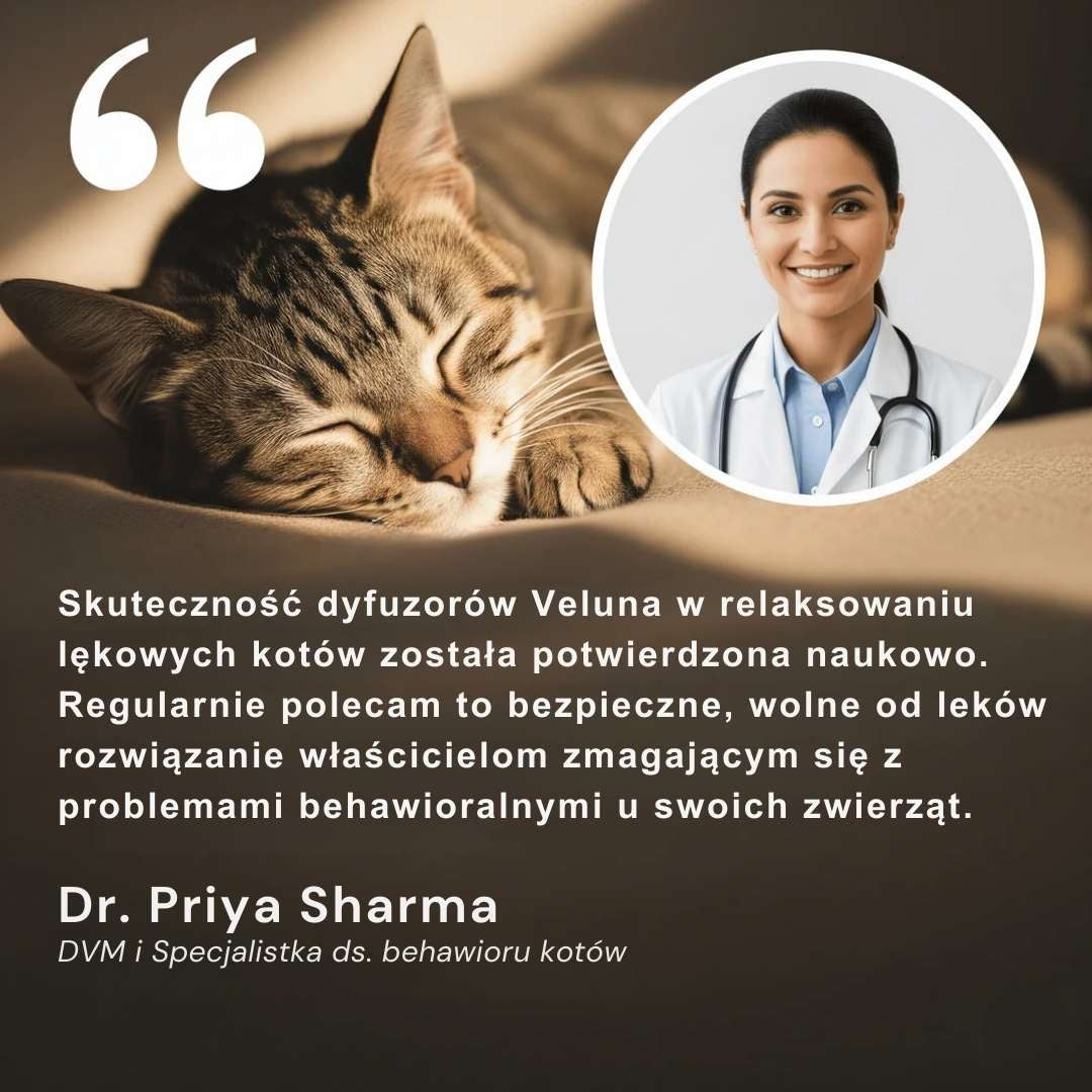 Veluna Dyfuzor Feromonów dla Kotów