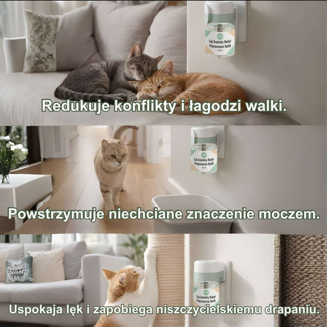 Veluna Dyfuzor Feromonów dla Kotów