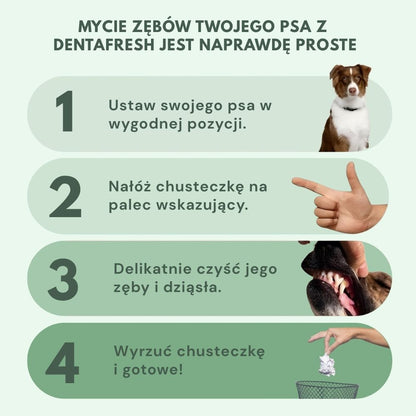 DentaFresh – Chusteczki do Czyszczenia i Ochrony Zębów dla Psów