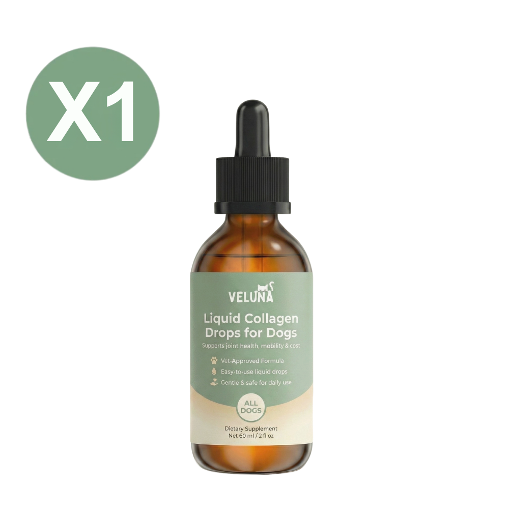 Veluna Premium Płynny Kolagen dla Psów