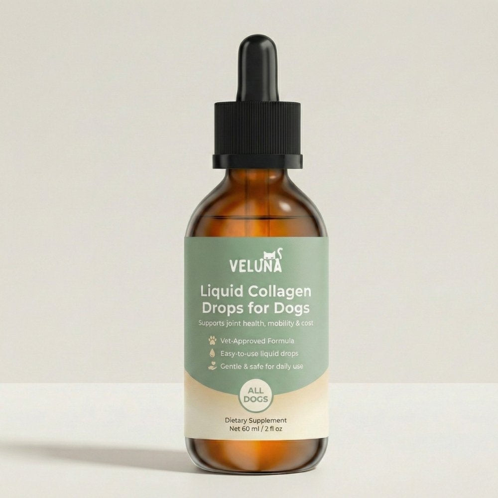 Veluna Premium Płynny Kolagen dla Psów
