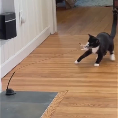 Interaktywna zabawka dla kotów z piórkami, zawieszona i odbijająca się