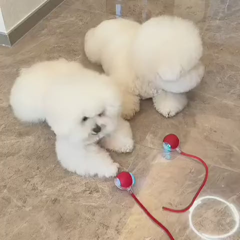 SmartChase - Inteligentna i interaktywna piłka dla psa