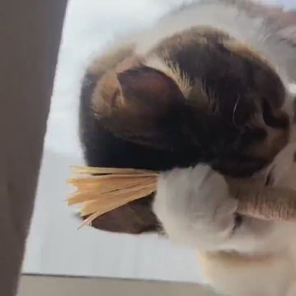 Patyczki dentystyczne z Silvervine dla kotów